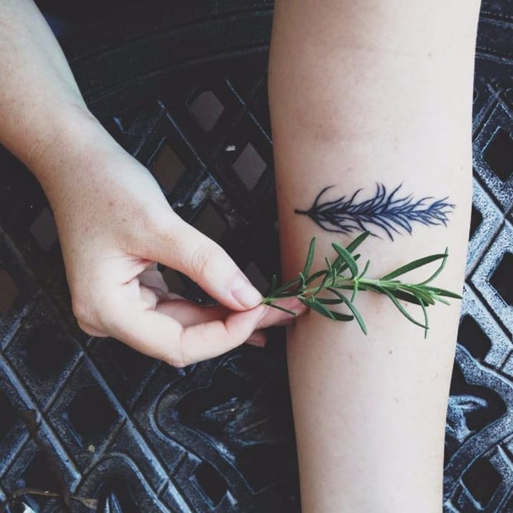 11 Refined Rosemary Tattoos | Tattoodo Lady Luck Tattoo, Rosemary Tattoo, Spiritual Hand, Luck Tattoo, Full Sleeve Tattoo Design, Lady Luck, Cute Little Tattoos, Botanical Tattoo, Full Sleeve Tattoo