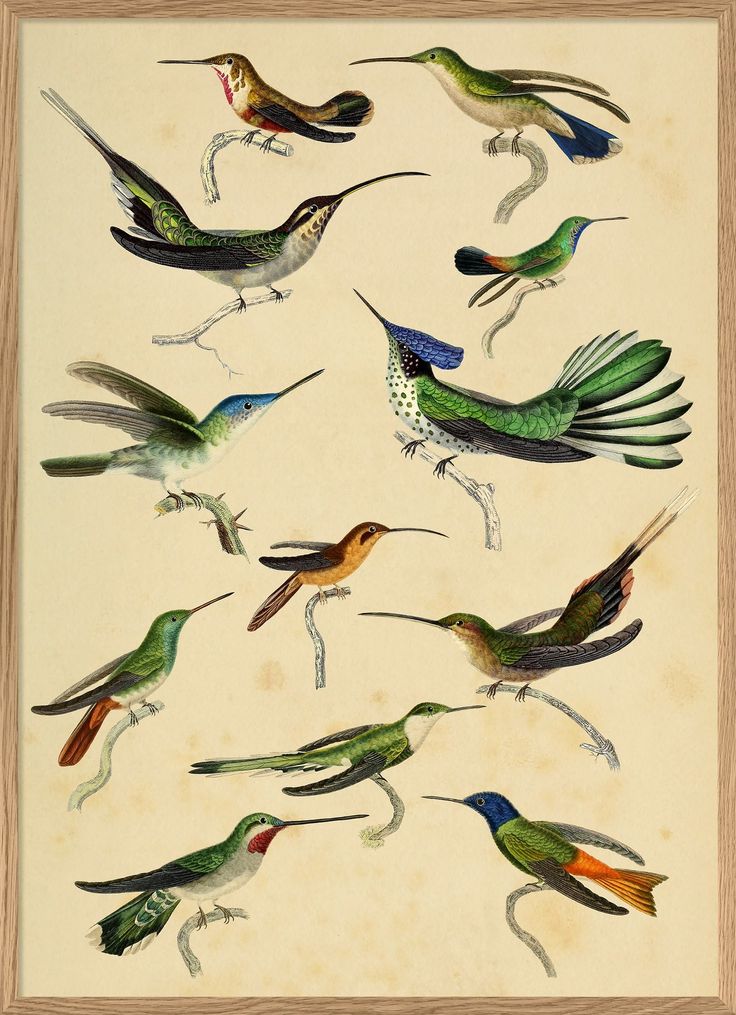 a group of birds that are flying in the air