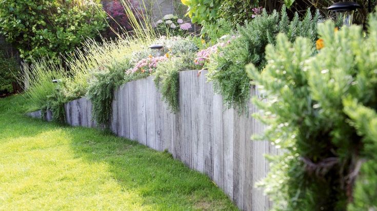 a wooden fence with plants growing on it and some grass in the foreground,