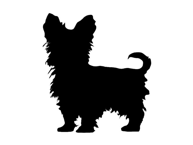 a black silhouette of a small dog on a white background