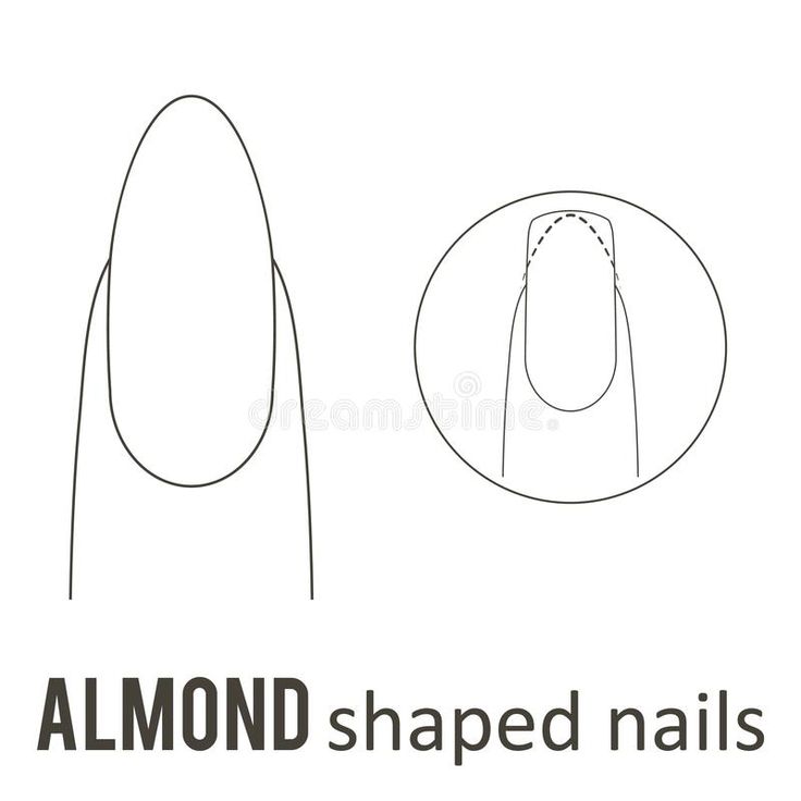 Nail shape almond stock illustration Nails Shapes Tutorial, Nail Shape Almond Short, How To Shape Ur Nails Almond, How To Do An Almond Shape Nail, How To Almond Shape Your Nails, Almond Shape Tutorial, How To Create Almond Shape Nails, Almond Nail Shaping, How To Get Almond Nails