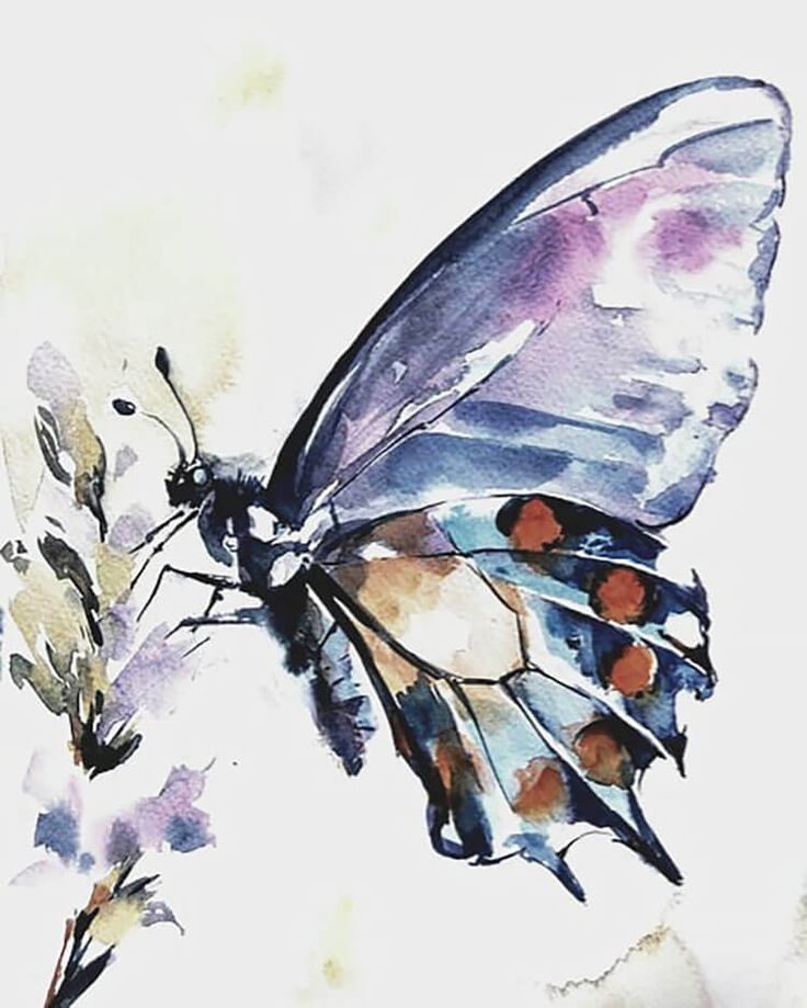 25 Beautiful Watercolor Butterfly Painting Ideas - Beautiful Dawn ...