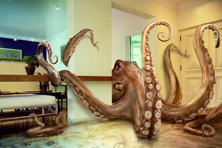 an octopus sculpture sitting on top of a wooden floor next to a bed in a room