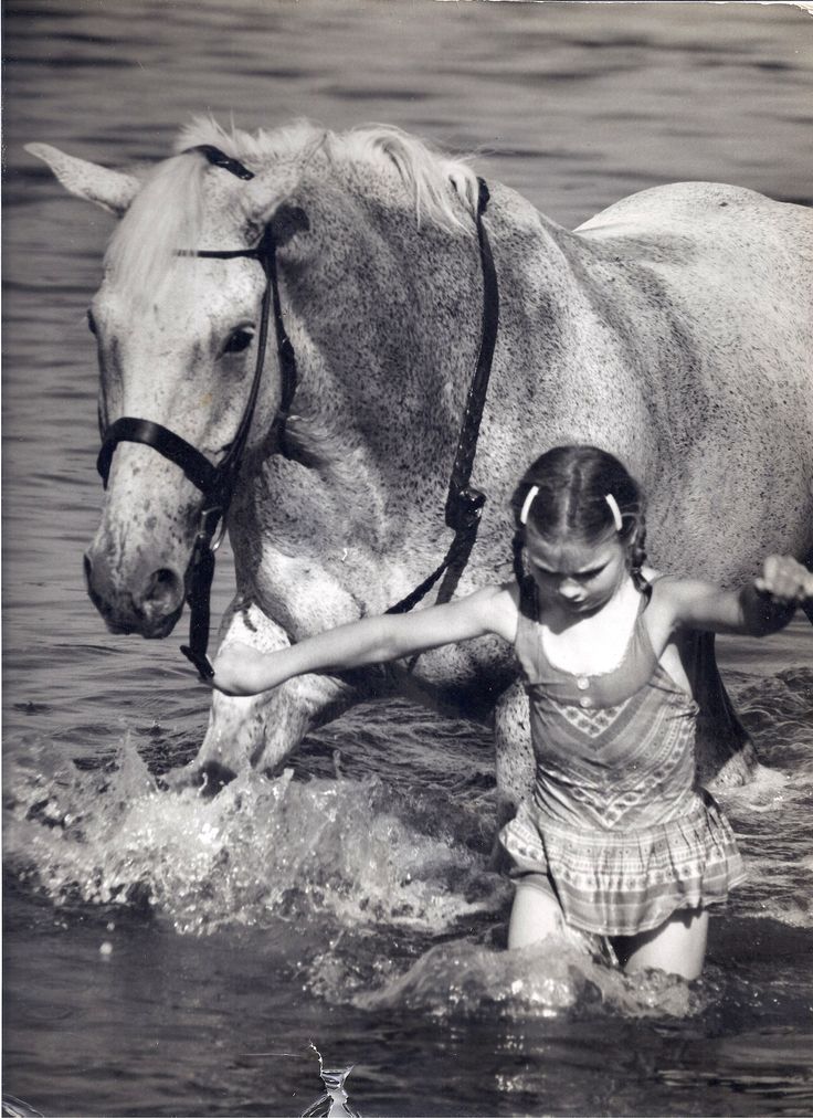 Harry de Leyer and Snowman: A Cinderella Story Becomes a Film - Sidelines Magazine Snowman Horse, Horse Auction, Island Horse, A Snowy Day, Long Island Sound, Cinderella Story, A Cinderella Story, Horse Trainer, Hunter Jumper