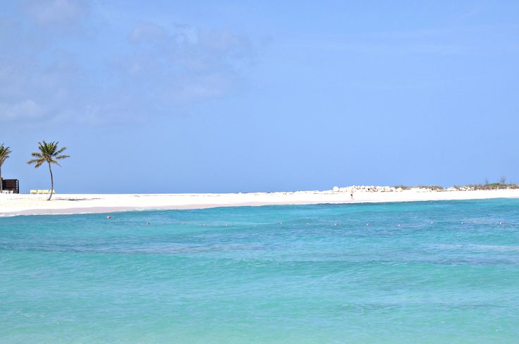 the beach is clear and blue with palm trees