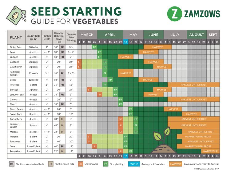 Seed Starting Calendar Zone 5 - Printable Calendars AT A GLANCE