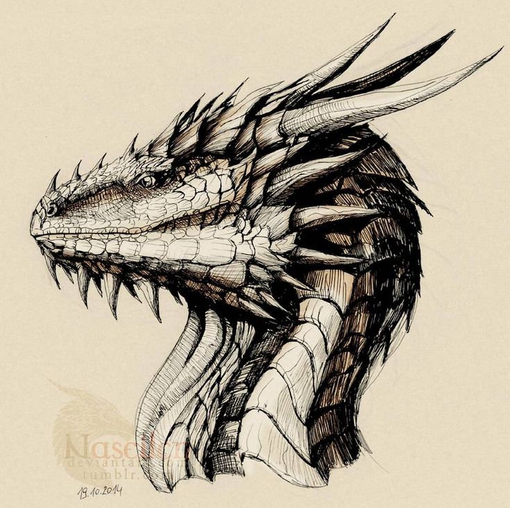 a drawing of a dragon's head with sharp teeth