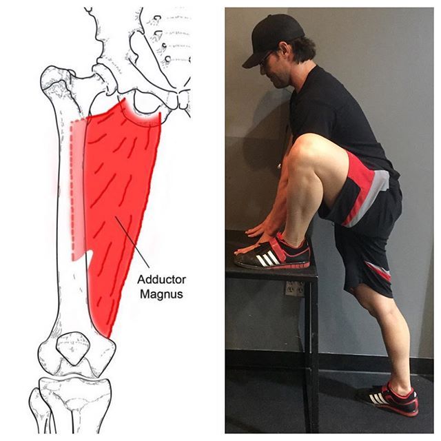 a man standing on top of a stool next to a drawing of the lower leg