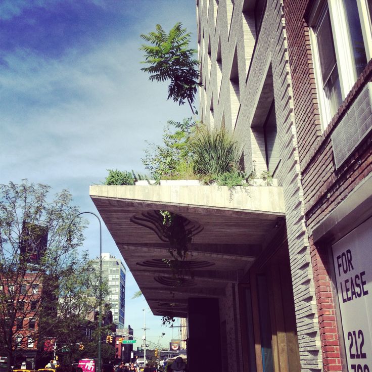 an empty sidewalk in front of a tall building with plants growing on the side of it