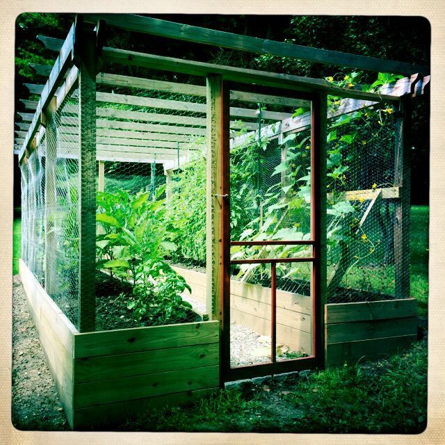 a small greenhouse with plants growing in it