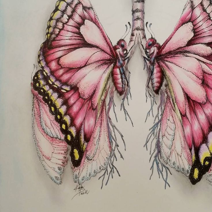 a drawing of two pink butterflies with yellow and black markings on their wings, one is facing each other