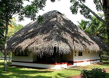 a thatched roof house with grass on the ground and trees in front of it