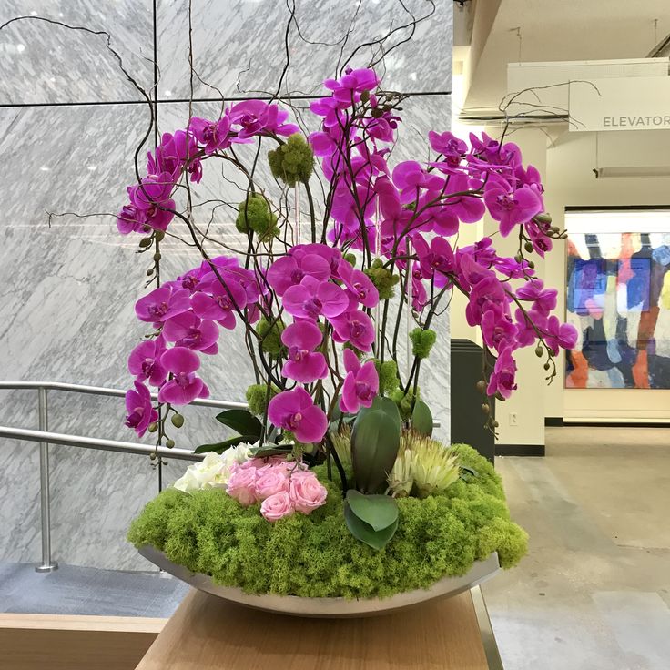 purple flowers are in a bowl with moss