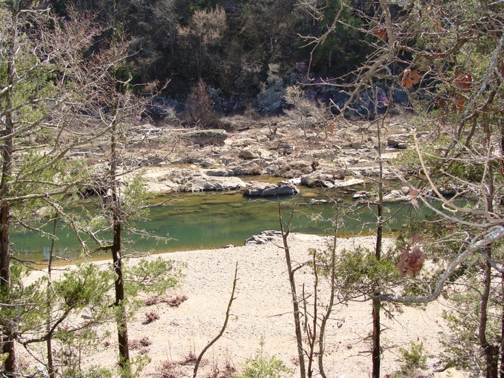 a river running through a forest filled with lots of trees