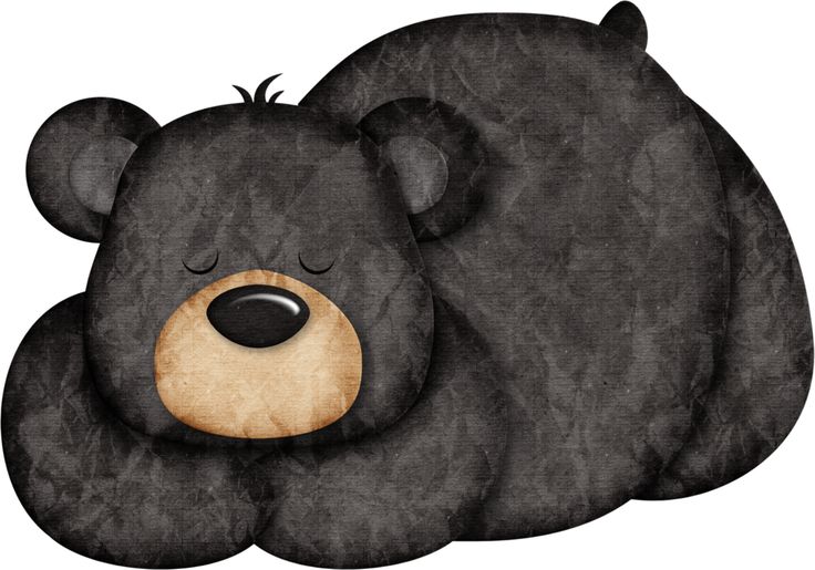 a black bear sleeping with its eyes closed