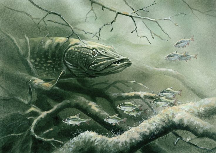 a painting of a fish in the water with other fish swimming around it and some branches