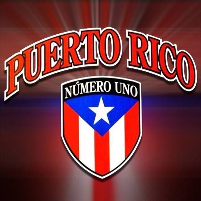 Puerto Rico Flag, Puerto Ricans, Sport Team Logos, T Shirt, Condor, Tat ...