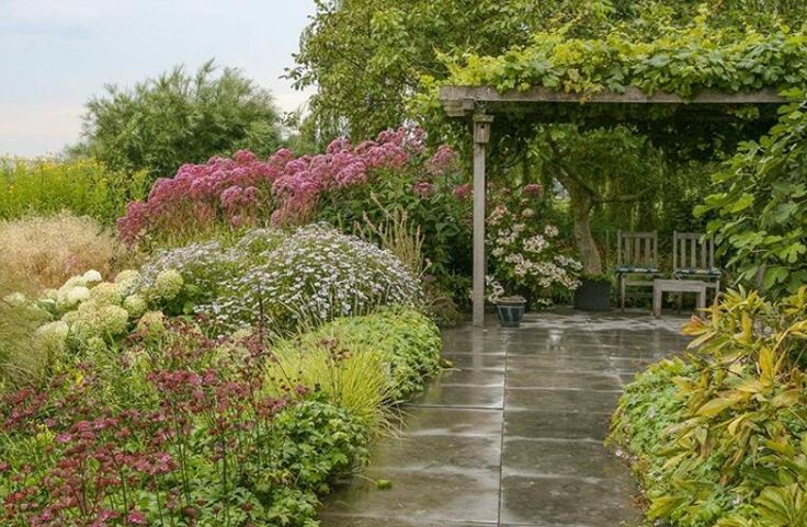 a garden with lots of plants and flowers