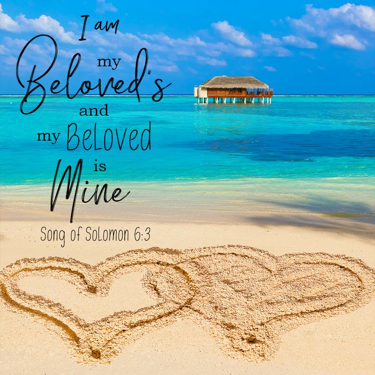 i am my beloved and my beloved is mine song of solomon 6 3 on the beach