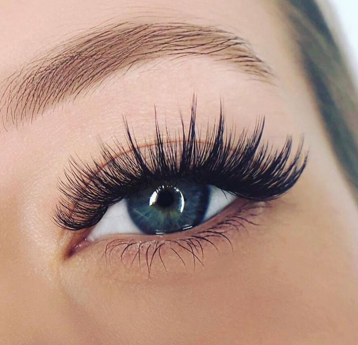 Natural Fake Eyelashes, Lashes Fake Eyelashes, Wispy Eyelashes, Eyelash Extensions Styles, Lash Extensions Styles, Perfect Eyelashes, Pretty Lashes, Volume Eyelash Extensions, Eyelash Extentions