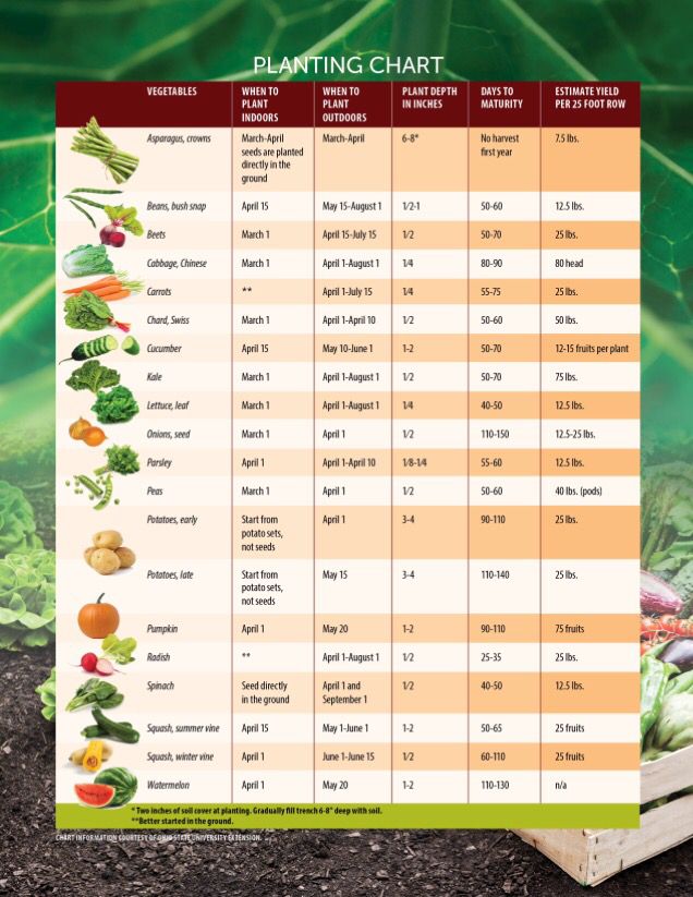 Ohio garden planting guide | When to plant vegetables, Planting ...