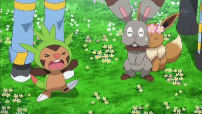 Serena's Eevee with Clemont's Bunnelby and Clemont's Chespin | Pokemon ...