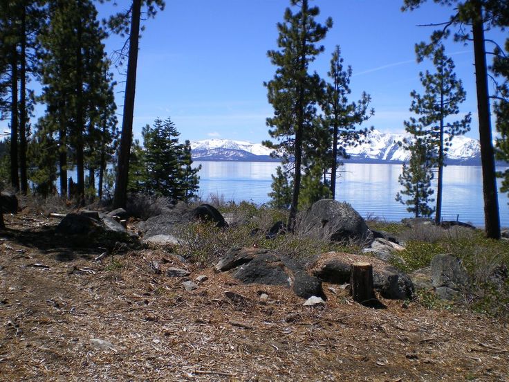 some rocks and trees by the water