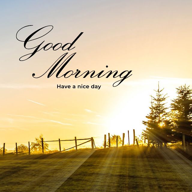 the words good morning have a nice day are in front of a fence and trees