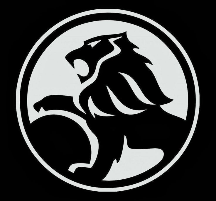 a black and white lion logo on a black background