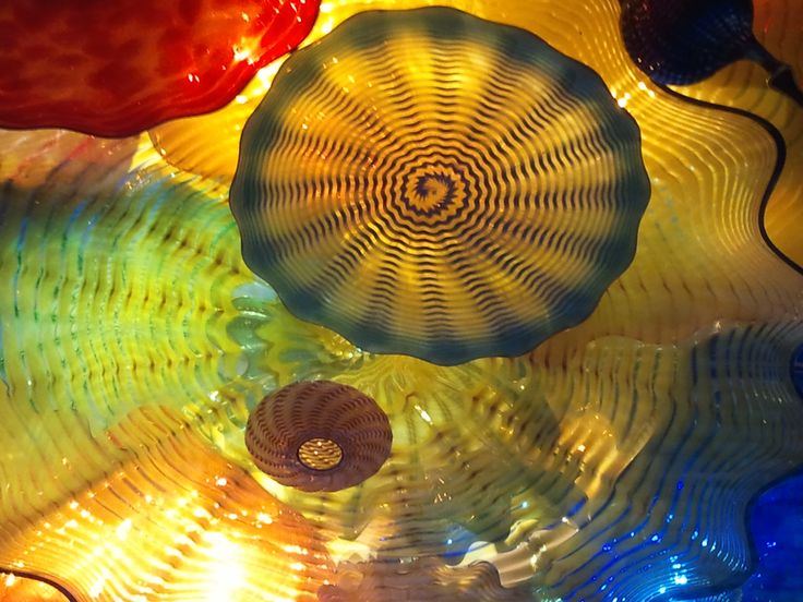 Dale Chihuly Ceiling Installation at San Antonio Art Museum