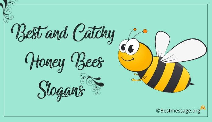 Funny Honey Bee Quotes