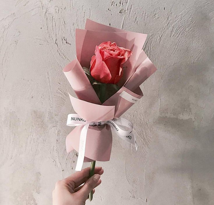 a person holding a pink rose with ribbon around it's end, in front of a concrete wall