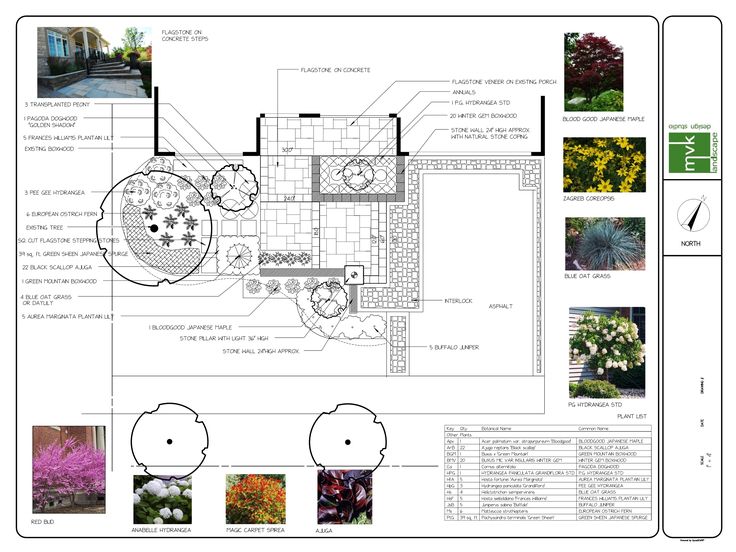 a plan for a garden with various flowers and plants in it, including an outdoor seating area