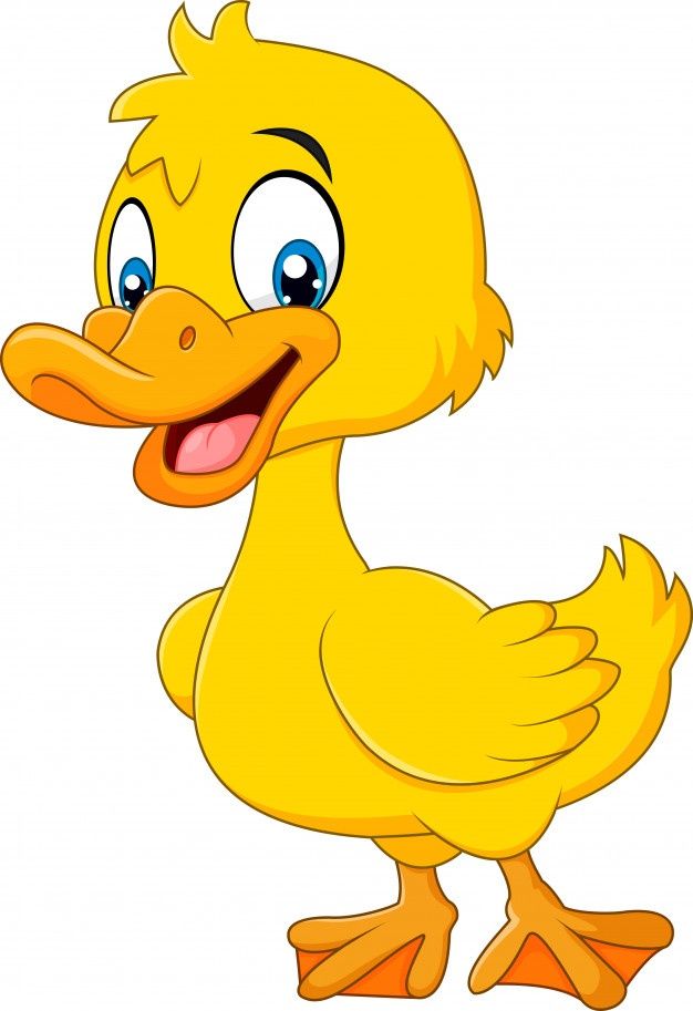 a yellow duck with big blue eyes