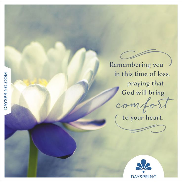 eCard Studio | DaySpring Sympthay Quotes, Inspirational Sympathy Quotes, Thinking Of You Quotes Sympathy, Sympathy Thoughts, Sympathy Card Sayings, Condolences Quotes, Words Of Sympathy, Condolence Messages, Sympathy Card Messages