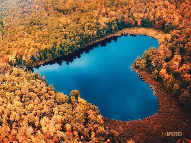 an aerial view of a lake surrounded by trees in the fall with orange and yellow foliage