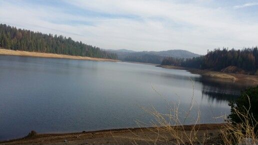 a large body of water surrounded by trees