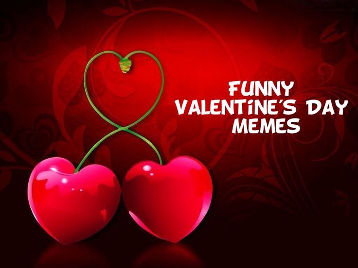 75 Funny Valentine’s Day Memes in 2024 | Funny good morning memes ...