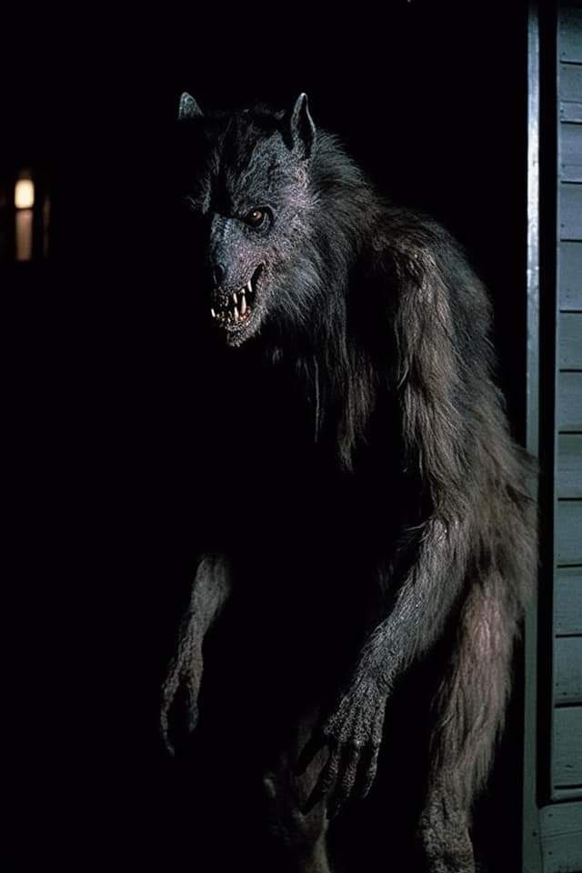 Pin by William McGuill on Werewolves | Werewolf mythology, Werewolf ...