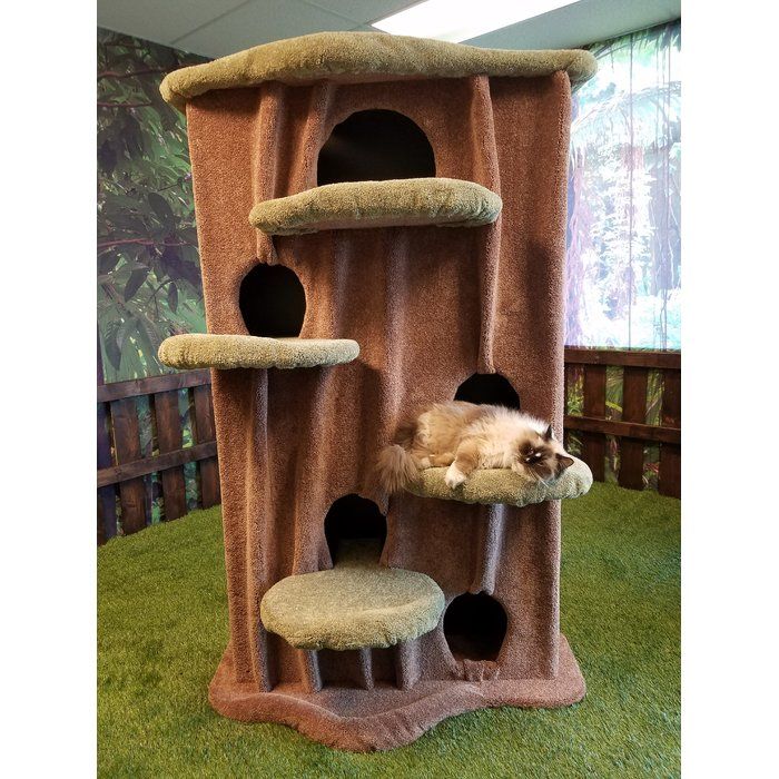 a cat laying on top of a pet tree in a room filled with green grass