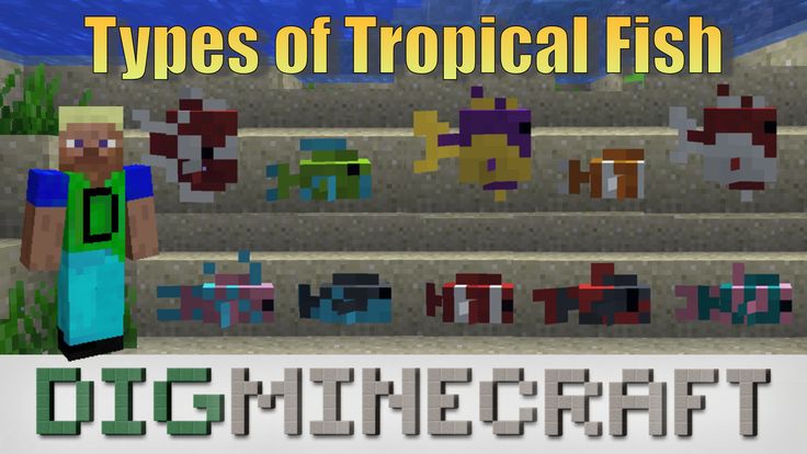 the types of tropical fish in this minecraft video game are easy to use and very detailed