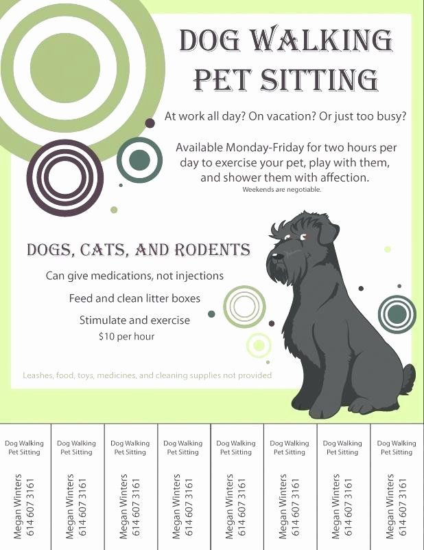 a flyer for a dog walking pet sitting event