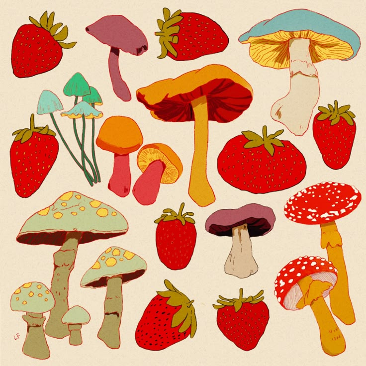 an assortment of mushrooms and strawberries are depicted in this illustration by artist mark straube