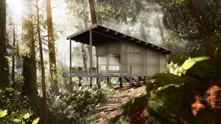 a small cabin in the middle of a forest surrounded by tall trees and ferns with sunlight streaming through