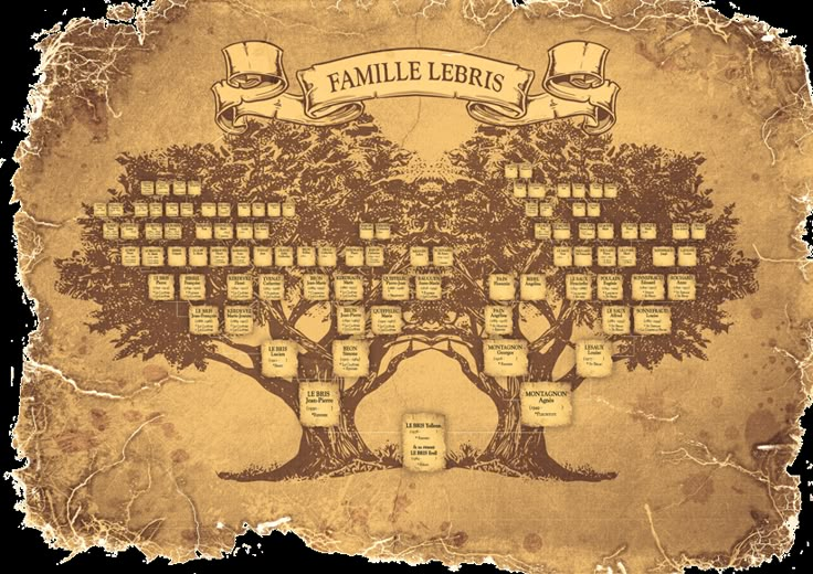 an old family tree is shown in this image