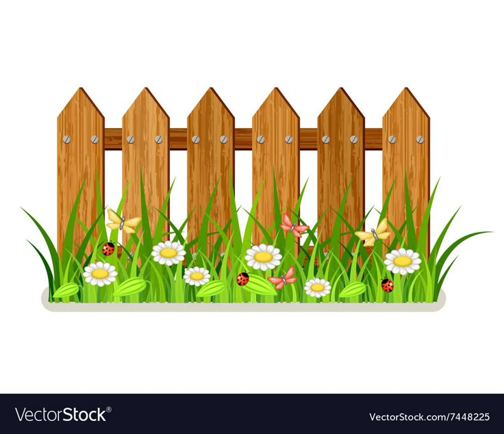 a wooden fence with grass and daisies in the yard or garden area on a white background