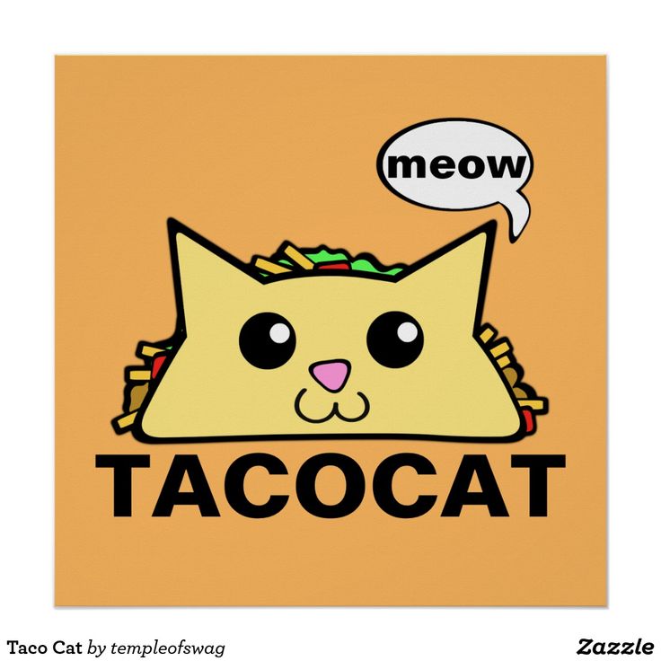 a cartoon cat with a thought bubble saying meow tacocat