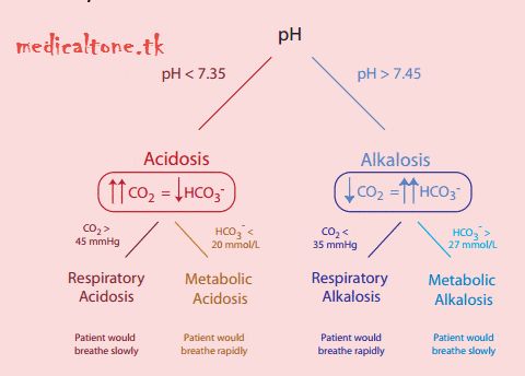 the diagram shows different types of alcohols