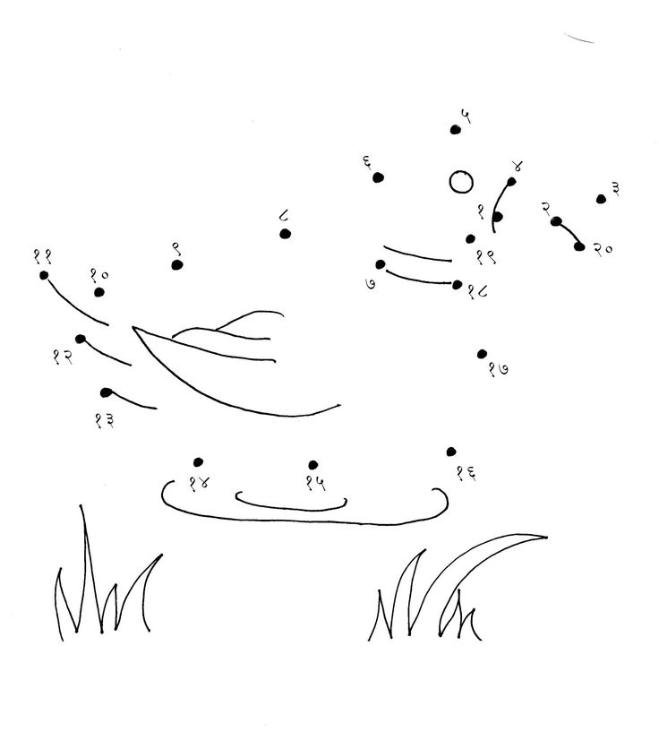 connect the dots to draw an animal with its tail and head in the grass, as well as numbers