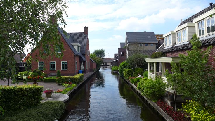 a river running through a small town with houses on either side and trees lining the street